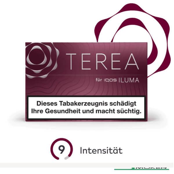 Terea Russet Tobacco Sticks